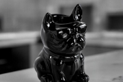 brule parfum boubou chien noir